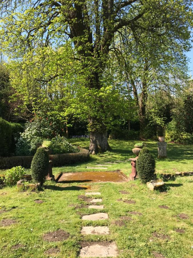 Residence Le Petit Paradis Labastide-Rouairoux Экстерьер фото